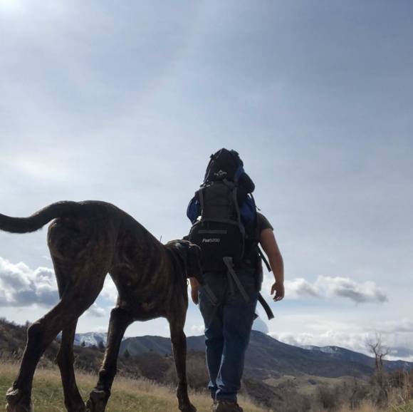 Meet your Posher, Jeffrey - Picture 1 of 1